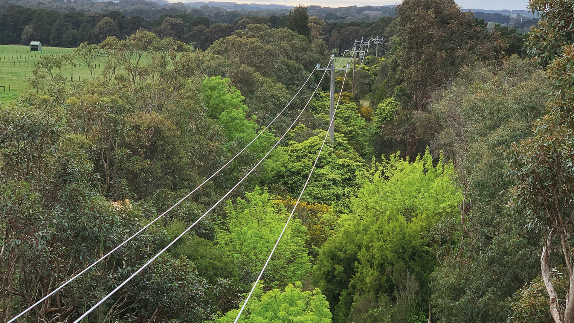 Australian Made Cables